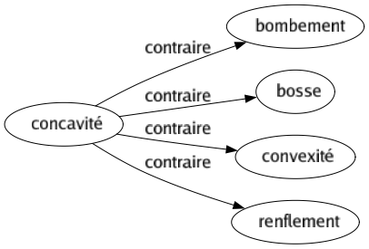 Contraire de Concavité : Bombement Bosse Convexité Renflement 