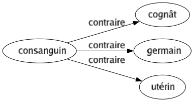 Contraire de Consanguin : Cognât Germain Utérin 