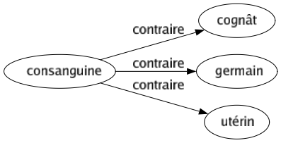 Contraire de Consanguine : Cognât Germain Utérin 