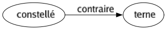 Contraire de Constellé : Terne 