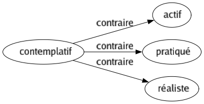 Contraire de Contemplatif : Actif Pratiqué Réaliste 