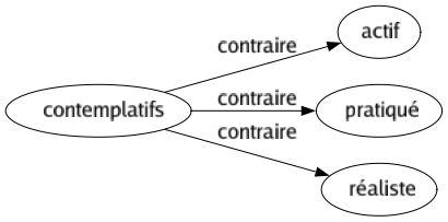 Contraire de Contemplatifs : Actif Pratiqué Réaliste 
