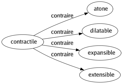 Contraire de Contractile : Atone Dilatable Expansible Extensible 
