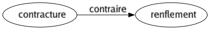 Contraire de Contracture : Renflement 