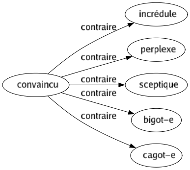 Contraire de Convaincu : Incrédule Perplexe Sceptique Bigot-e Cagot-e 