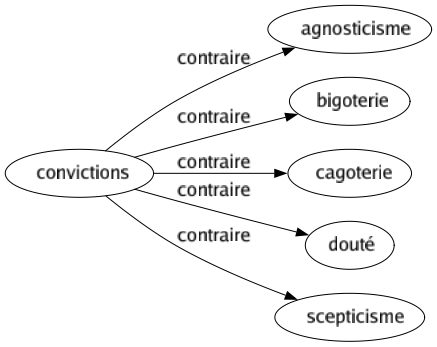 Contraire de Convictions : Agnosticisme Bigoterie Cagoterie Douté Scepticisme 