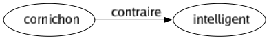 Contraire de Cornichon : Intelligent 