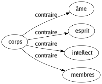 Contraire de Corps : Âme Esprit Intellect Membres 