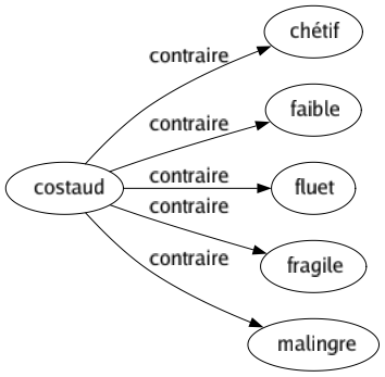 Contraire de Costaud : Chétif Faible Fluet Fragile Malingre 