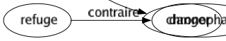 Contraire de Court : Abondant Allongé Ample Diffus Durable Élancé Élevé Épais Étendu Éternel Grand Gros Interminable Large Long Longuet Pérenne Perpétuel Pourvu Prolixe Prolongé Riche Chronophage 