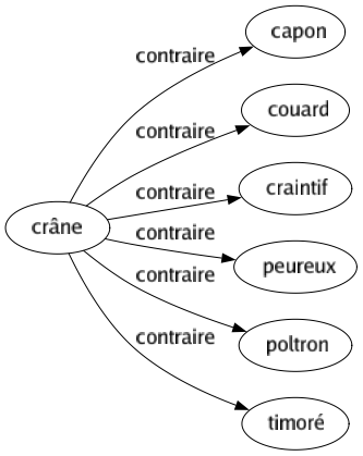 Contraire de Crâne : Capon Couard Craintif Peureux Poltron Timoré 