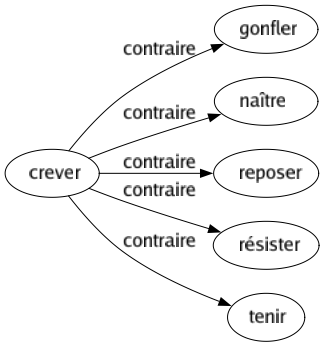 Contraire de Crever : Gonfler Naître Reposer Résister Tenir 