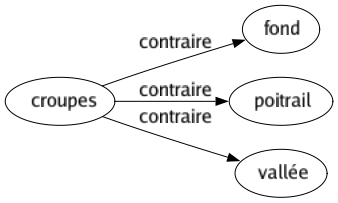 Contraire de Croupes : Fond Poitrail Vallée 