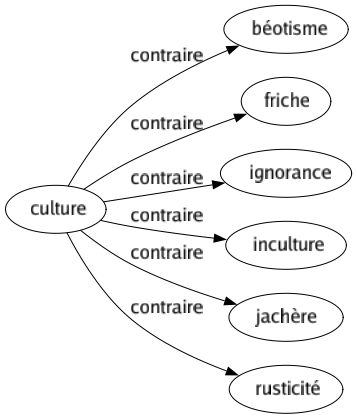 Contraire de Culture : Béotisme Friche Ignorance Inculture Jachère Rusticité 