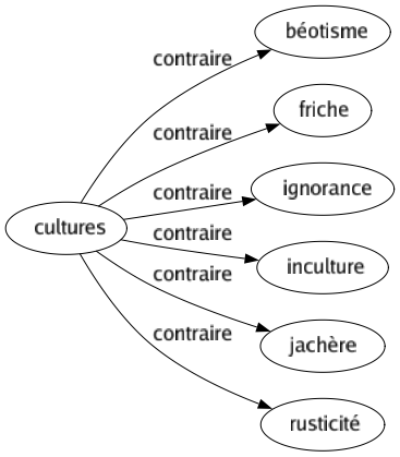 Contraire de Cultures : Béotisme Friche Ignorance Inculture Jachère Rusticité 