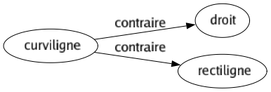 Contraire de Curviligne : Droit Rectiligne 