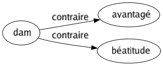 Contraire de Dam : Avantagé Béatitude 