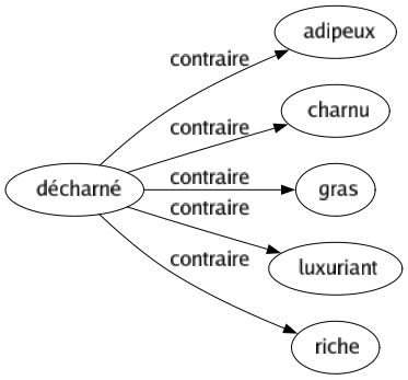 Contraire de Décharné : Adipeux Charnu Gras Luxuriant Riche 