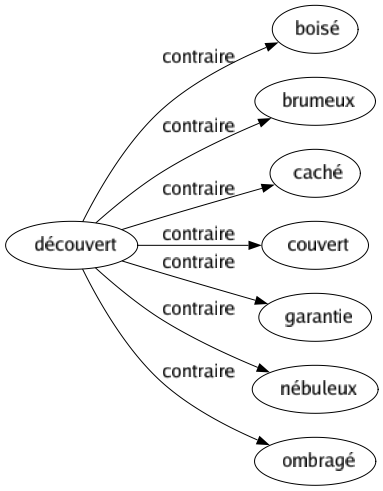 Contraire de Découvert : Boisé Brumeux Caché Couvert Garantie Nébuleux Ombragé 
