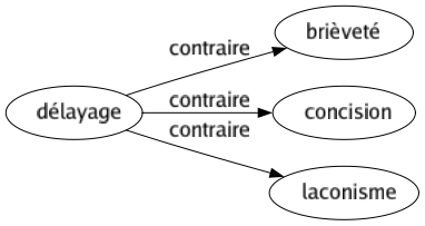 Contraire de Délayage : Brièveté Concision Laconisme 