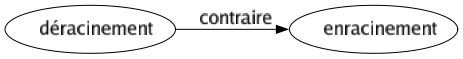 Contraire de Déracinement : Enracinement 