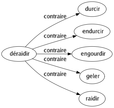 Contraire de Déraidir : Durcir Endurcir Engourdir Geler Raidir 