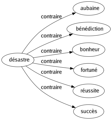 Contraire de Désastre : Aubaine Bénédiction Bonheur Fortuné Réussite Succès 