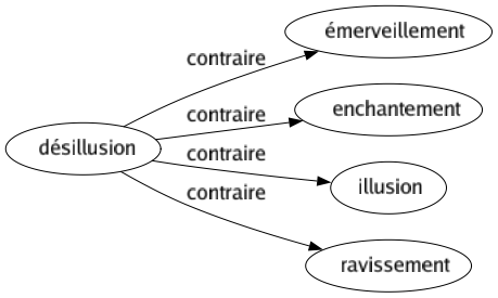 Contraire de Désillusion : Émerveillement Enchantement Illusion Ravissement 