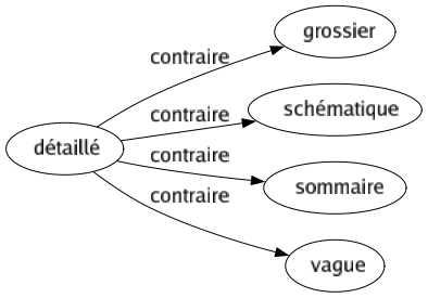 Contraire de Détaillé : Grossier Schématique Sommaire Vague 