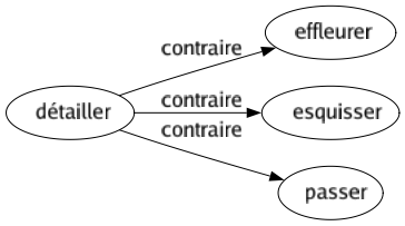 Contraire de Détailler : Effleurer Esquisser Passer 