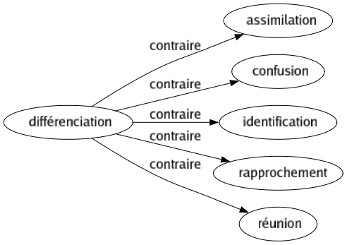 Contraire de Différenciation : Assimilation Confusion Identification Rapprochement Réunion 