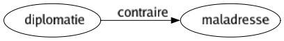 Contraire de Diplomatie : Maladresse 