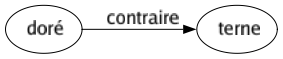 Contraire de Doré : Terne 