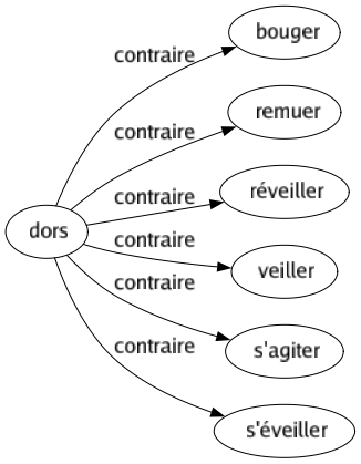 Contraire de Dors : Bouger Remuer Réveiller Veiller S'agiter S'éveiller 