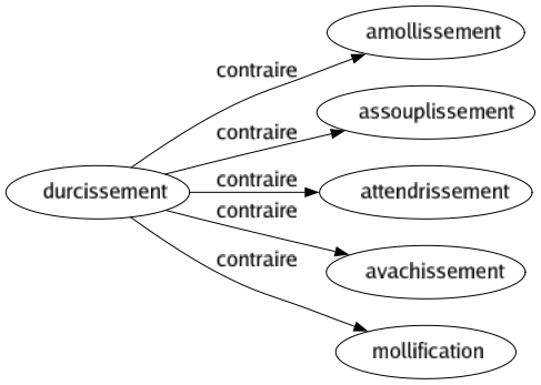 Contraire de Durcissement : Amollissement Assouplissement Attendrissement Avachissement Mollification 