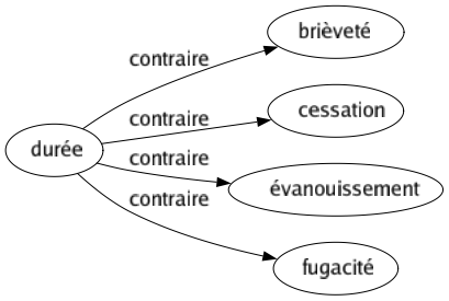 Contraire de Durée : Brièveté Cessation Évanouissement Fugacité 