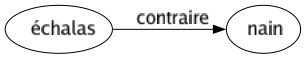 Contraire de Échalas : Nain 