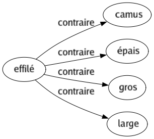 Contraire de Effilé : Camus Épais Gros Large 