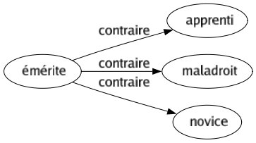Contraire de Émérite : Apprenti Maladroit Novice 
