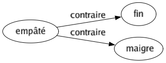 Contraire de Empâté : Fin Maigre 