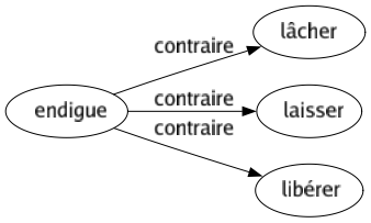Contraire de Endigue : Lâcher Laisser Libérer 