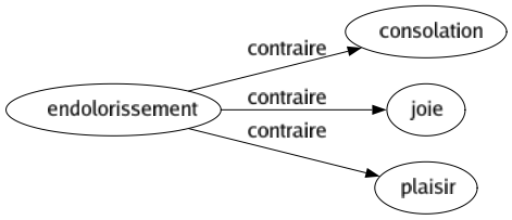 Contraire de Endolorissement : Consolation Joie Plaisir 