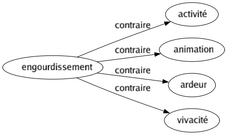 Contraire de Engourdissement : Activité Animation Ardeur Vivacité 