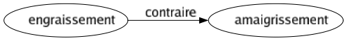 Contraire de Engraissement : Amaigrissement 