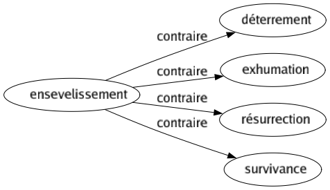 Contraire de Ensevelissement : Déterrement Exhumation Résurrection Survivance 