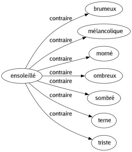 Contraire de Ensoleillé : Brumeux Mélancolique Morné Ombreux Sombré Terne Triste 