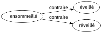 Contraire de Ensommeillé : Éveillé Réveillé 