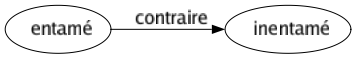 Contraire de Entamé : Inentamé 