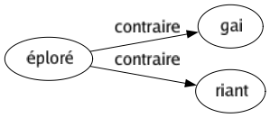 Contraire de Éploré : Gai Riant 