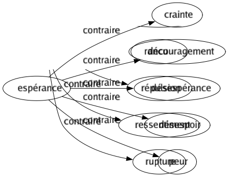 Contraire de Espérance : Crainte Découragement Désespérance Désespoir Peur 